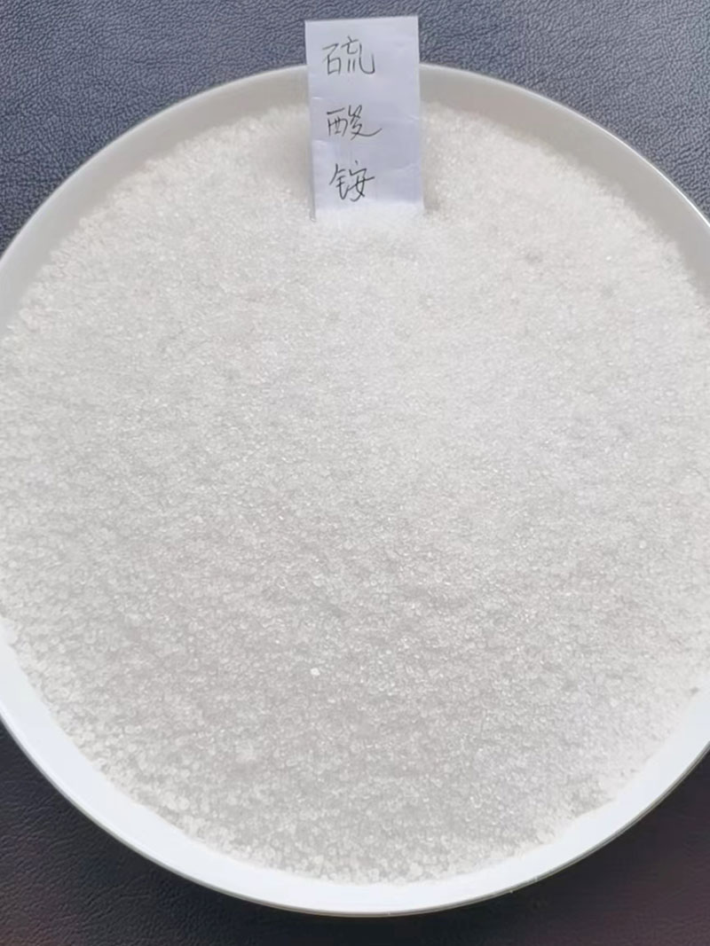 亚91麻豆免费视频